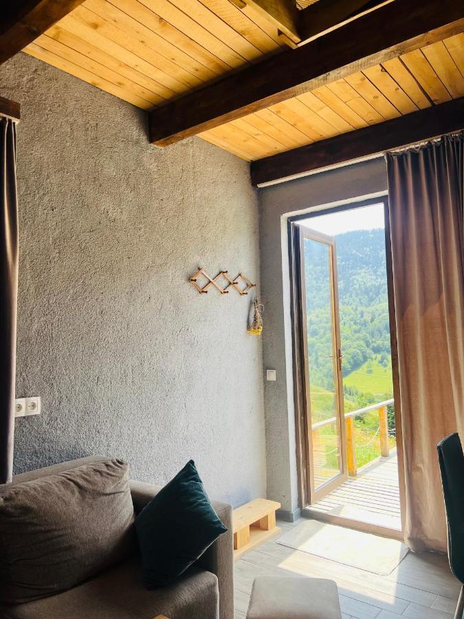 Villa Mitarbi Silence Bordschomi Exterior foto